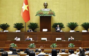 Thí điểm chế định luật sư công tại 8 bộ và 10 địa phương từ ngày 1/10/2026