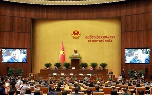 Nghị quyết Kỳ họp thứ Nhất, Quốc hội khóa XVI