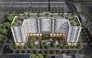 Phát triển nhà ở cho thuê - từ giải pháp trước mắt đến trụ cột an sinh dài hạn