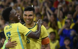 Link trực tiếp bóng đá World Cup 2026 trên VTV hôm nay 13/6