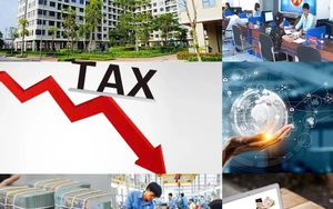 Cắt giảm hơn 3.400 thủ tục hành chính, điều kiện kinh doanh