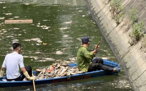 Cá chết hàng loạt ở hồ Nghĩa Đô - Hà Nội