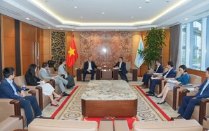 Petrovietnam và CIP thúc đẩy hợp tác, mở rộng cơ hội đầu tư điện gió ngoài khơi tại Việt Nam