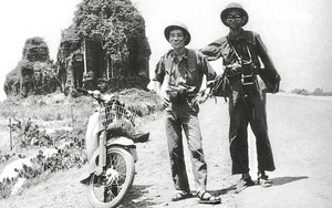 
"Chỉ cây đời mãi xanh tươi"