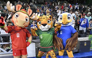 Thể thao Việt Nam, nhìn từ World Cup 2026: Ai vận hành, ai thu tiền và bài toán nhân lực