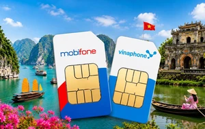 Gợi ý chọn SIM data MobiFone, VinaPhone tại CellphoneS cho mùa du lịch