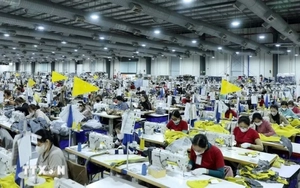 Khai thác năng lực doanh nghiệp nhỏ và vừa: Cơ hội cho tăng trưởng 2 con số