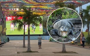 Khu fan fest độc lạ bậc nhất ở World Cup 2026, bao quanh là đầm lầy cá sấu