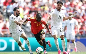 Tỷ lệ chiến thắng New Zealand vs Bỉ (Bảng G World Cup 2026): Quỷ đỏ châu Âu áp đảo