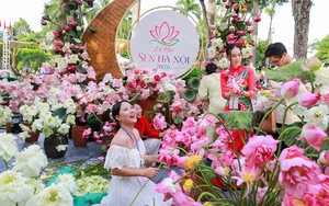 Khi hoa sen kể câu chuyện về Hà Nội