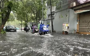 Các tỉnh miền núi phía Bắc chủ động ứng phó mưa lớn, lũ quét và sạt lở đất