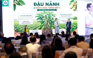 Đậu nành và các loại hạt góp phần phòng bệnh không lây nhiễm