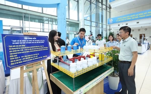 Những công trình mang dấu ấn sáng tạo của công nhân Việt Nam