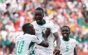 Tỷ lệ chiến thắng Bỉ vs Senegal (vòng 1/16 World Cup 2026): Không vượt trội
