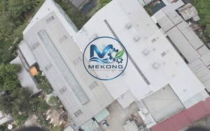 Mekong Fabrication đầu tư đồng bộ năng lực gia công và chế tạo thép, hướng tới chuẩn sản xuất quốc tế