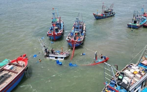 Từ Quảng Ninh đến Khánh Hòa chủ động ứng phó với áp thấp nhiệt đới 