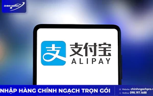 Chính ngạch Pro - Dịch vụ thanh toán hộ Alipay nhanh, uy tín