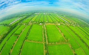Điều chỉnh Quy hoạch sử dụng đất quốc gia thời kỳ 2021-2030, tầm nhìn đến năm 2050