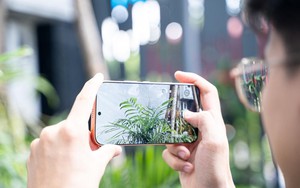 Cầm HONOR 600 đi du lịch quay video ngắn, chụp ảnh sống ảo nét căng không cần sửa