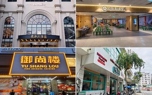 Bảng Hiệu Việt - Đơn vị làm bảng hiệu đẹp, uy tín cho mọi doanh nghiệp
