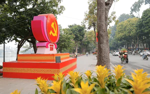 Quy định số 207-QĐ/TW của Ban Chấp hành Trung ương về những điều đảng viên không được làm