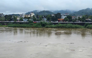 Mưa lớn gây lũ trên sông Hồng tại Lào Cai