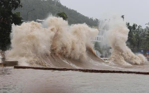 Bão số 1 di chuyển nhanh hơn, đề phòng dông lốc trước và trong khi bão đổ bộ