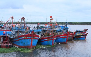 CẬP NHẬT ứng phó bão số 1: Bão số 1 di chuyển chậm, giảm cường độ và khả năng suy yếu trong ngày 5/7