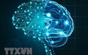 Nhà kinh tế đoạt giải Nobel: AI có thể sẽ không đưa kỷ nguyên tăng trưởng năng suất cao trở lại