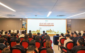 Ký kết hợp tác với gần 50 đại lý, Novaland từng bước phục hồi hoạt động kinh doanh
