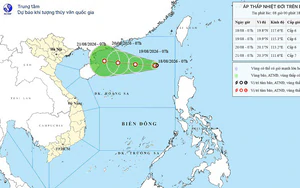 Xuất hiện áp thấp nhiệt đới trên Biển Đông 