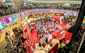 Bầu Fê Fest: Những khoảnh khắc làm nên ngày hội đầy năng lượng