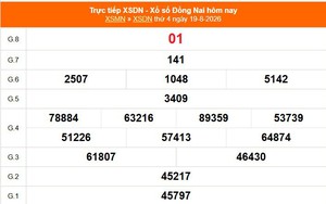 XSDN 19/8 - Kết quả xổ số Đồng Nai hôm nay 19/8/2026 - Trực tiếp XSDN ngày 19 tháng 8