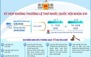 Nội dung Kỳ họp không thường lệ thứ Nhất, Quốc hội khóa XVI
