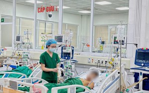 Hỏng gan, phù não vì tin bài thuốc trôi nổi trên mạng