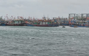 Bão số 4 giữ nguyên cường độ, hướng di chuyển, cách đặc khu Bạch Long Vĩ khoảng 90km