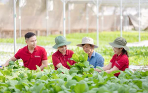 Agribank quyết liệt hành động, đưa chủ trương "tam nông" vào thực tiễn phát triển mới