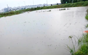 Ứng phó bão số 4: Bắc Ninh phát lệnh báo động lũ trên sông Thương, sông Lục Nam