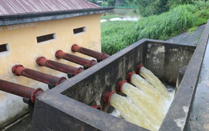 Bắc Ninh, Thái Nguyên, Thanh Hóa đảm bảo an toàn đê điều ứng phó lũ