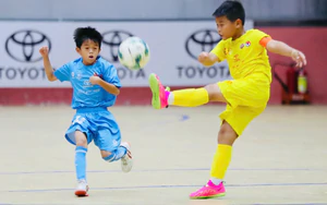 SLNA gặp HVL Sơn La ở chung kết giải bóng đá U9 toàn quốc Toyota Cup 2026