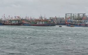Bão số 4 ít di chuyển, giữ nguyên cường độ trên vùng biển phía Đông Bắc đặc khu Bạch Long Vĩ