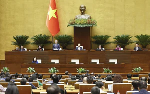 Kỳ họp không thường lệ thứ Nhất, Quốc hội khóa XVI: Giảm 30% thuế thu nhập cá nhân và thuế thu nhập doanh nghiệp