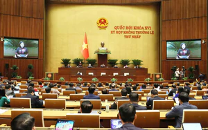 Kỳ họp không thường lệ thứ Nhất, Quốc hội khóa XVI: Thông qua Luật sửa đổi 3 luật, bổ sung quy định phòng, chống rửa tiền với tài sản mã hóa