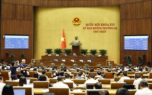 Kỳ họp không thường lệ thứ Nhất, Quốc hội khóa XVI: Thông qua hai luật và bốn nghị quyết quan trọng