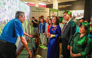 Khai mạc trưng bày “Thời thanh xuân từ Đường Trường Sơn đến Đường 1C huyền thoại”