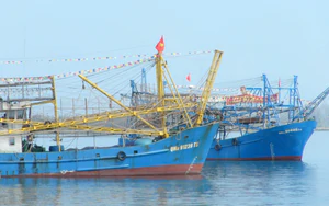 Tàu cá QNa 90859 TS cùng 50 ngư dân mất liên lạc trên biển