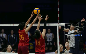 Link xem trực tiếp bóng chuyền nữ châu Á 2026 hôm nay ngày 28/8