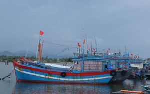 Đà Nẵng thông tin về việc tìm kiếm, cứu nạn tàu cá QNa-90859-TS