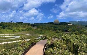 Junglia Okinawa - một không gian xanh kỳ thú giữa thiên nhiên