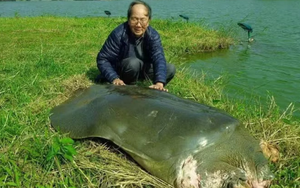 "Nhà rùa học" PGS.TS Hà Đình Đức qua đời ở tuổi 86